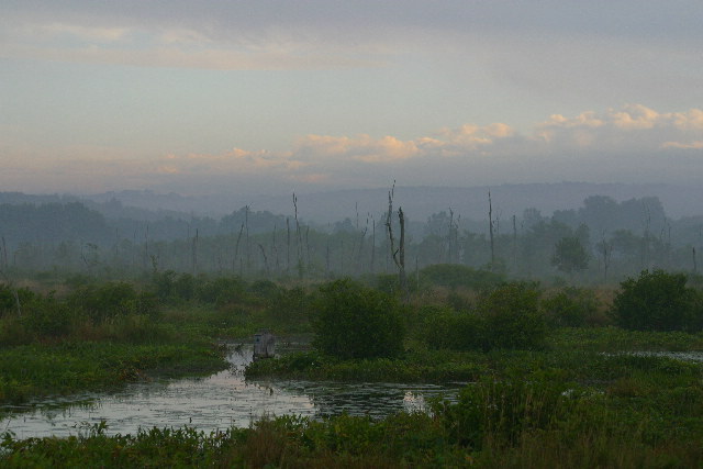 Escape to Nature's Embrace: Your Guide to Raymond Brook Marsh Wildlife Area