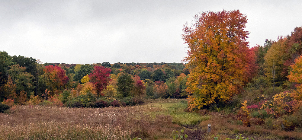 Along the Air Line Trail - Stan Malcolm Photos