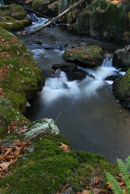 Pine Brook, East Haddam, CT - 11-12-2010